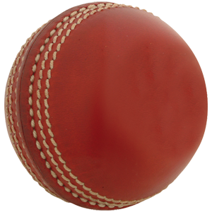 Gray Nicolls Mini Cricket Ball