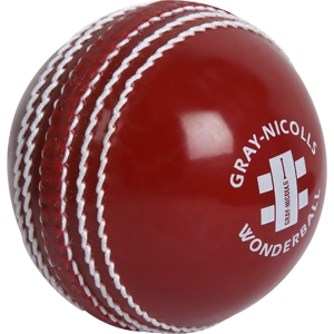 Gray Nicolls Wonderball