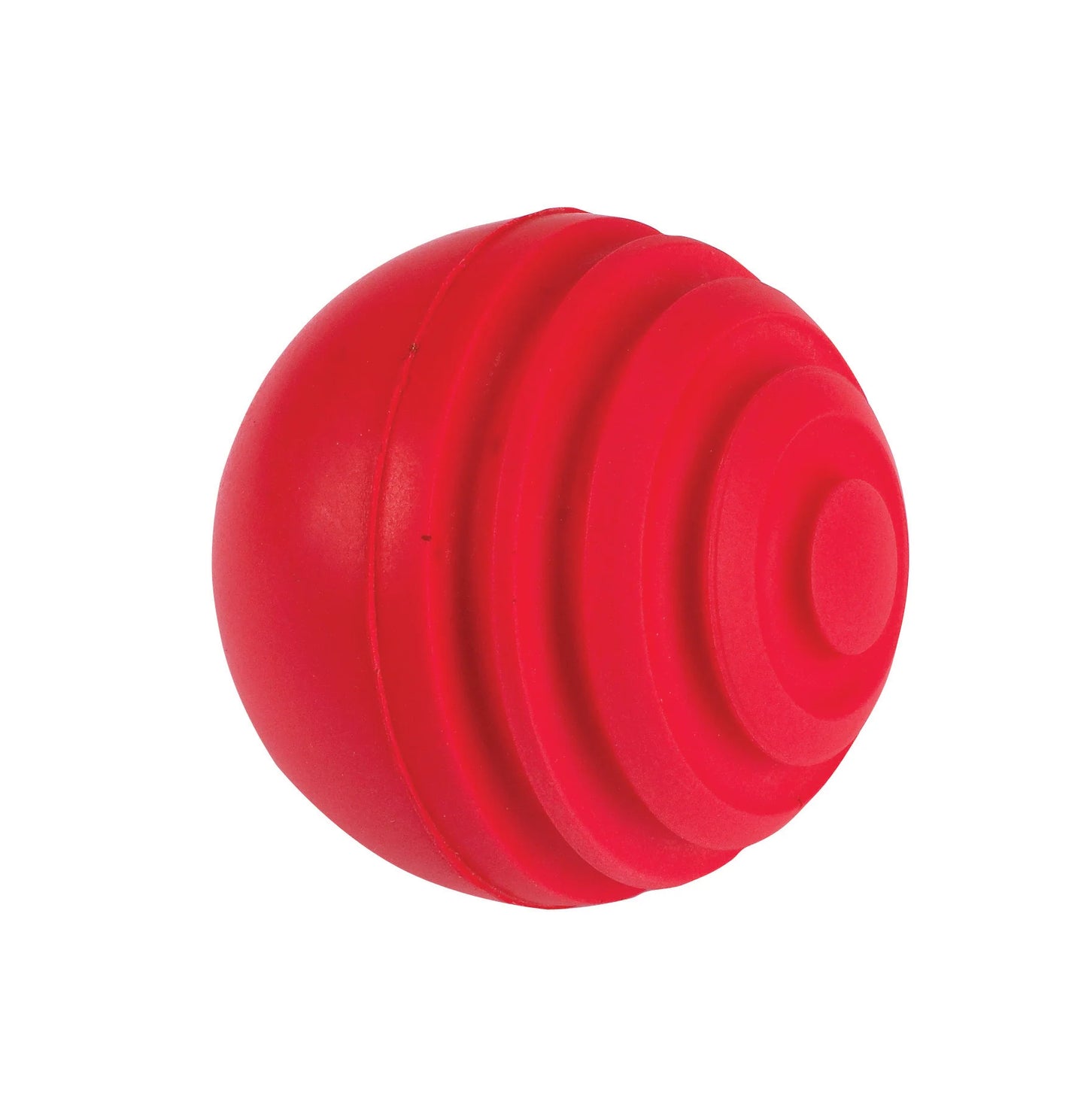 Gray Nicolls Indoor Wobble Ball
