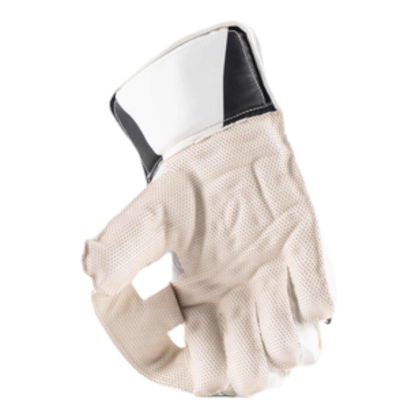 GN 350 Wicketkeeping Gloves