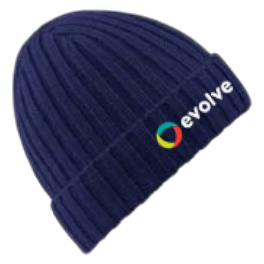 Evolve BB465 Beanie