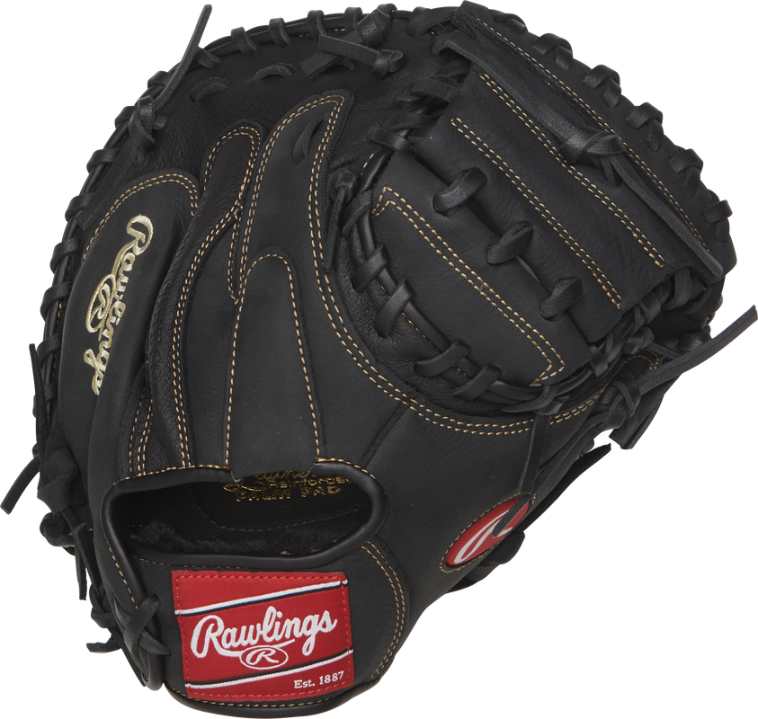 Rawlings RCM325B Renegade Catchers Glove Back View