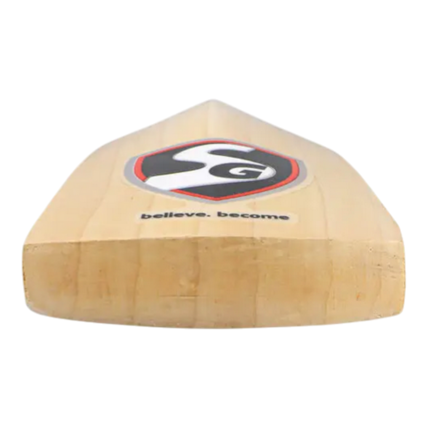 SG Savage Edition Cricket Bat 2