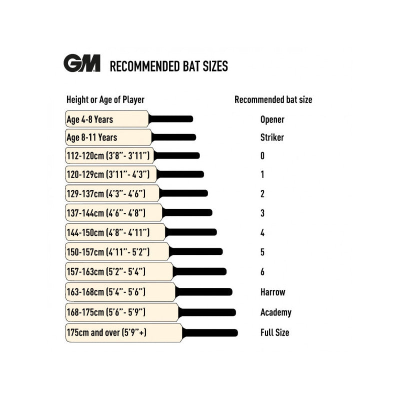 Gunn & Moore PSYCHE Cricket Bat - Adult