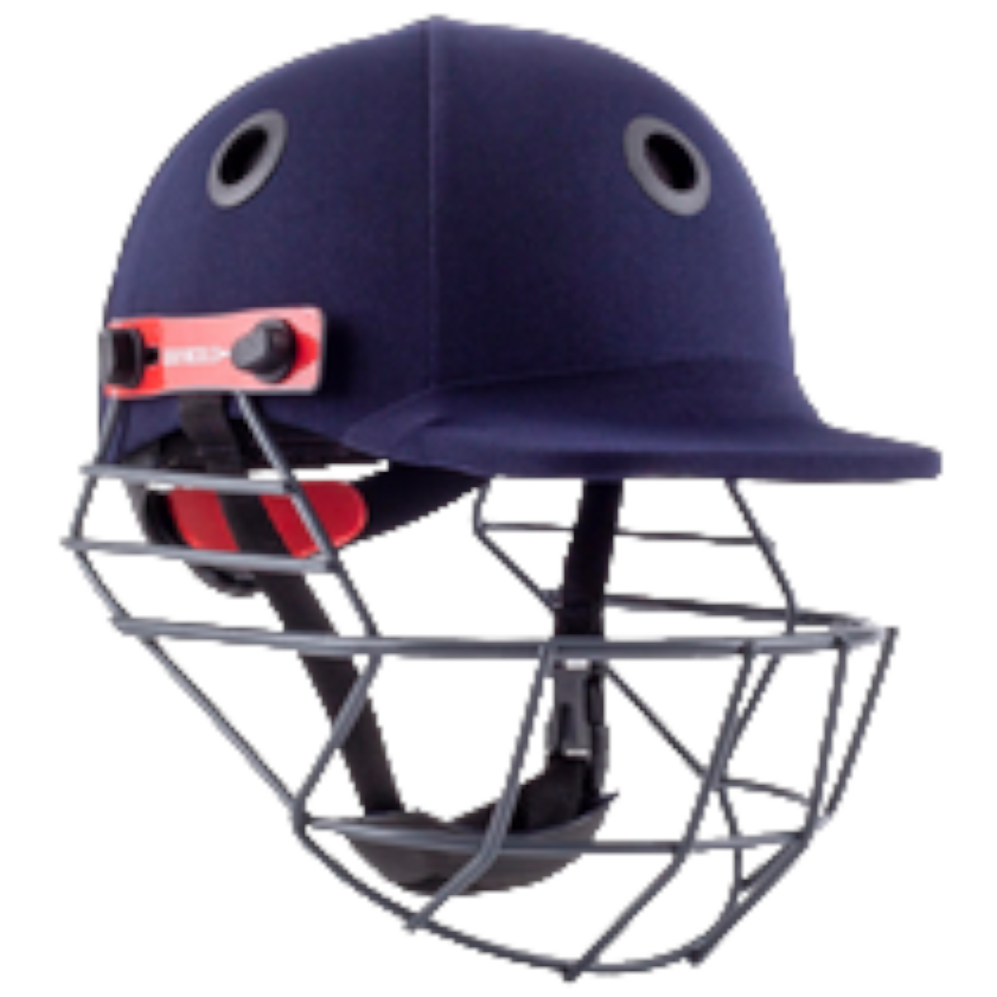 Gray Nicolls Elite Helmet