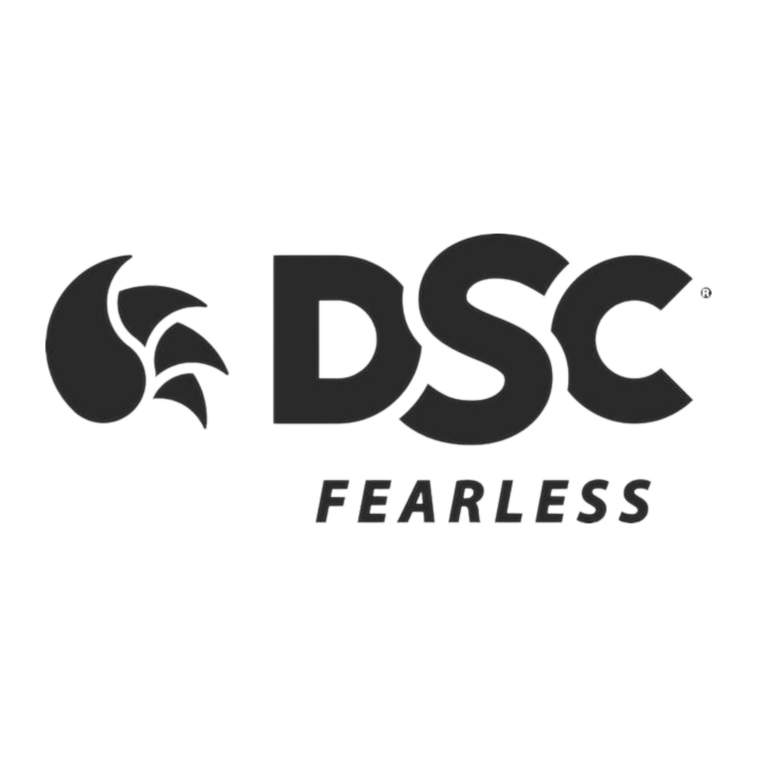 DSC Cricket