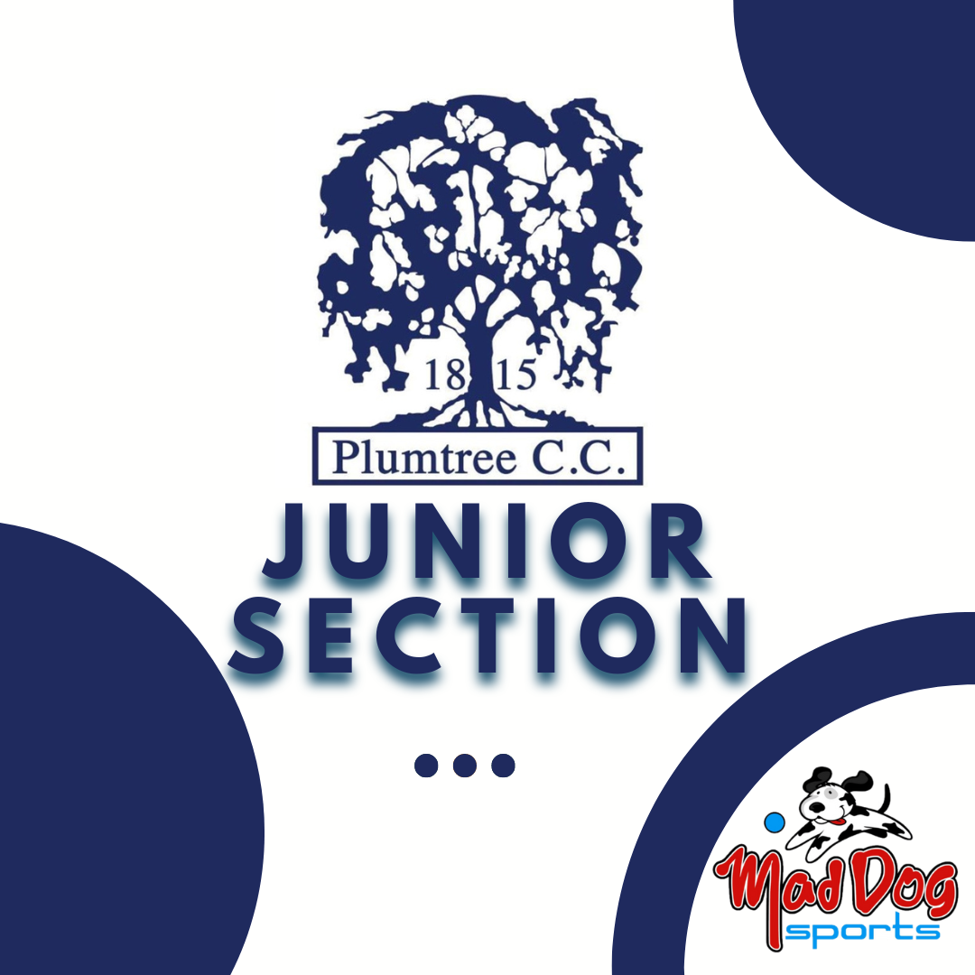 Plumtree CC Junior Section