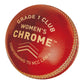 GM Chrome Cricket Ball