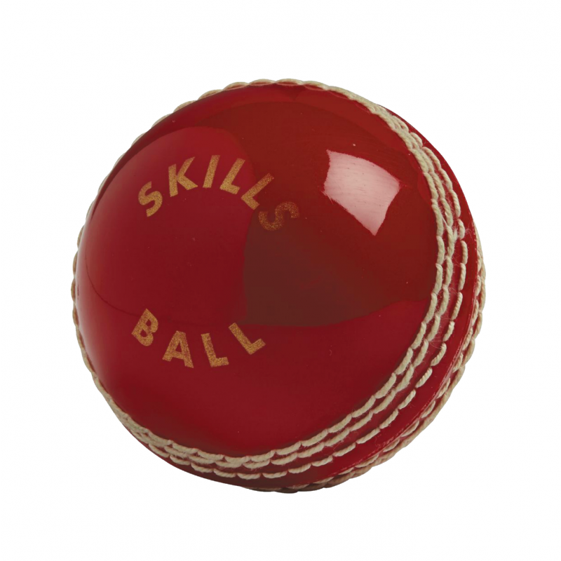 Gunn & Moore Half Skills Ball