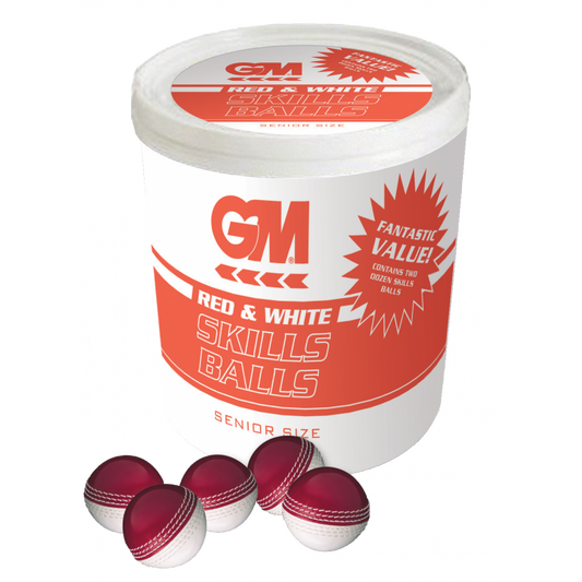 Gunn & Moore Half Skills Ball Bucket of 24