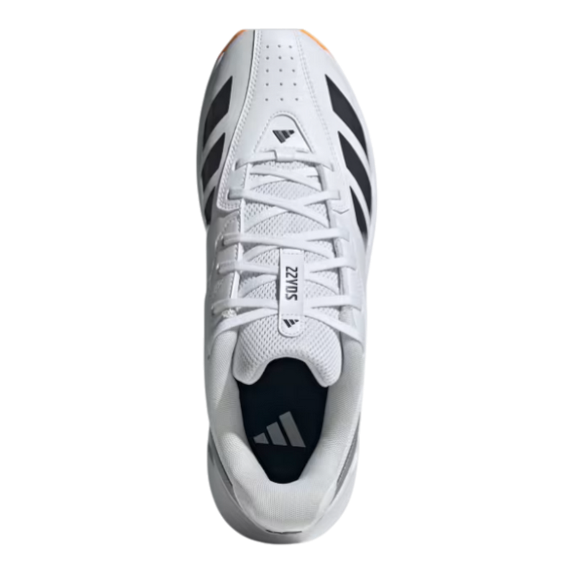 Adidas 22YDS - Cricket Spikes 2026 3