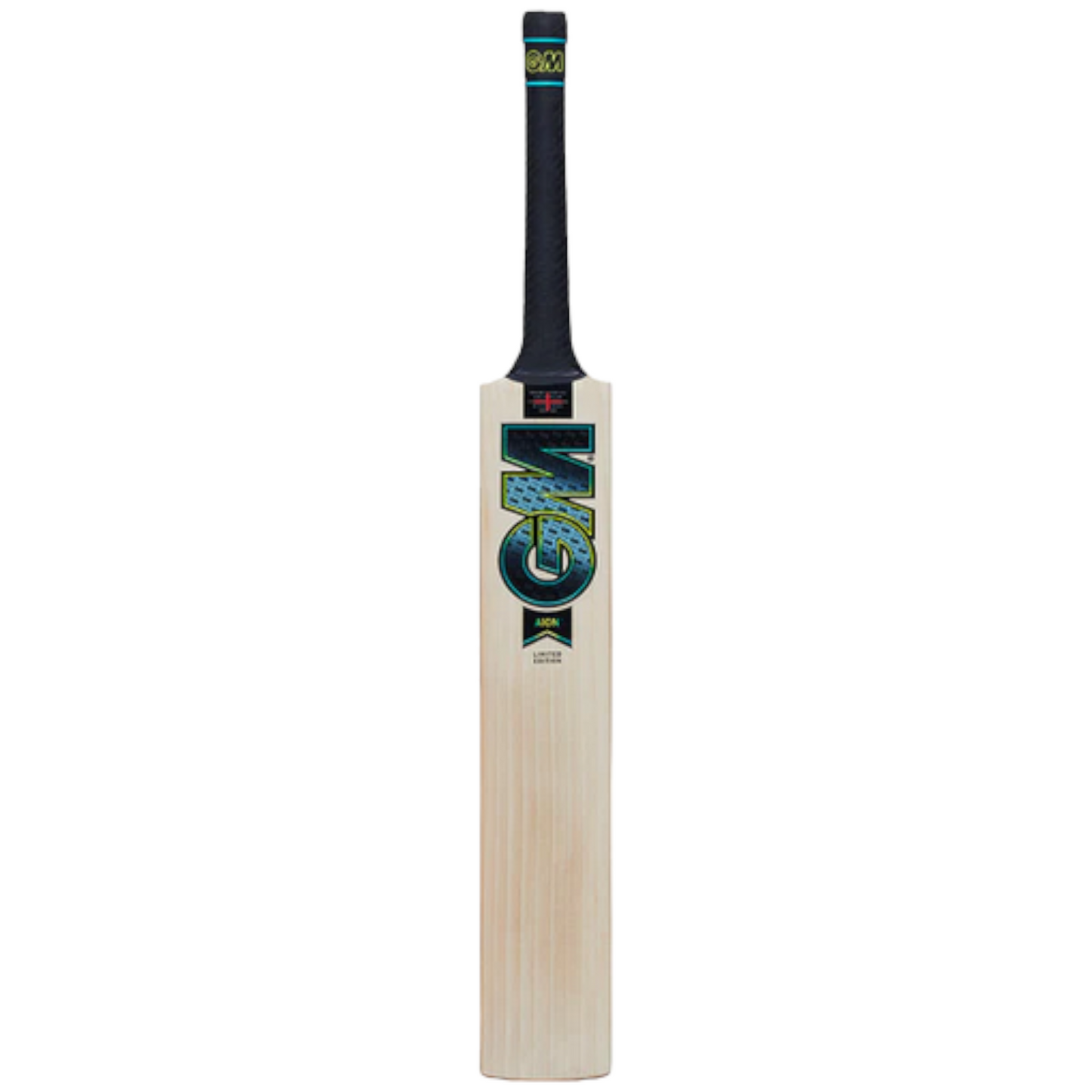 GM AION Cricket Bat