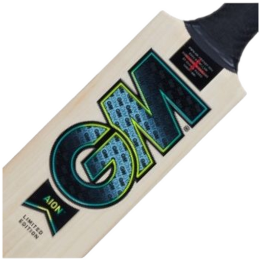 GM AION Cricket Bat