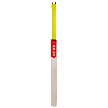 Gray Nicolls Technique Bat