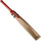 Gray Nicolls Technique Bat