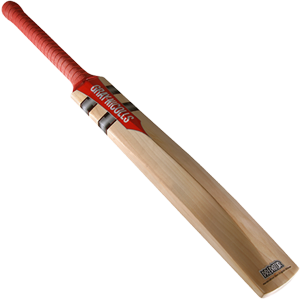 Gray Nicolls Technique Bat