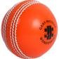 Gray Nicolls Wonderball