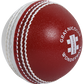 Gray Nicolls Wonderball