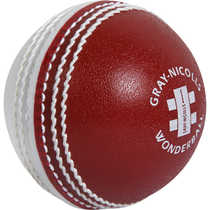 Gray Nicolls Wonderball