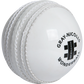 Gray Nicolls Wonderball