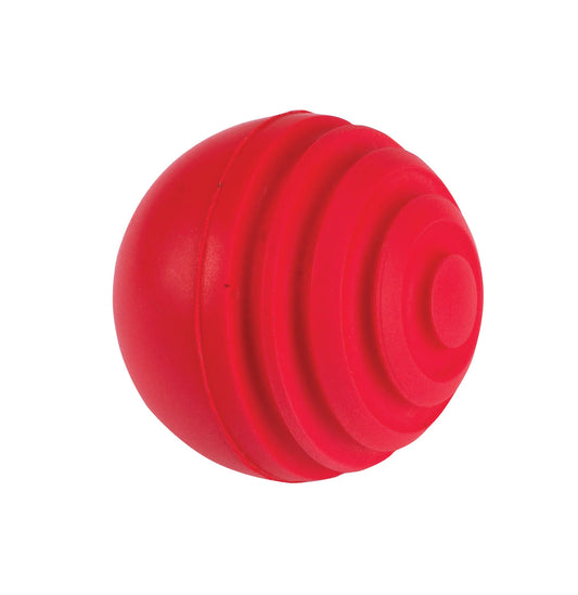 Gray Nicolls Indoor Wobble Ball
