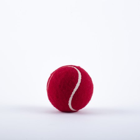 Gray Nicolls Tennis Ball for Cricket practice!