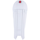 Gray Nicolls Legend Wicketkeeping Pad