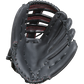 Gray Nicolls Baseball Glove