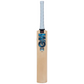 GM Diamond Cricket Bat (2024)