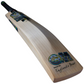 GM AION Cricket Bat