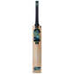 GM AION Cricket Bat