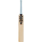 Gunn & Moore Rival Cricket Bat 2026 Back view Front View