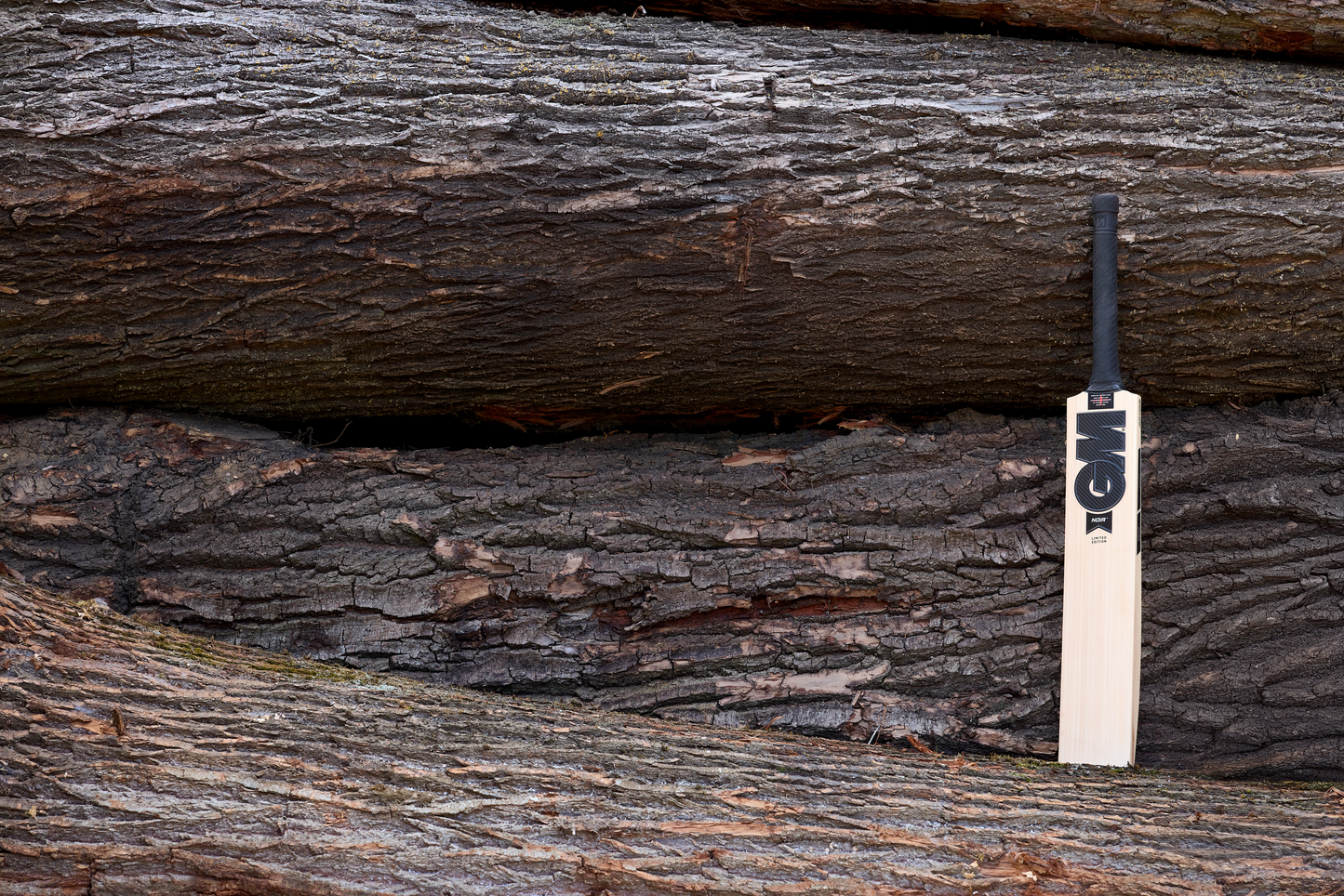 Gunn & Moore Noir Cricket Bat 2026 - Adult only for 2026