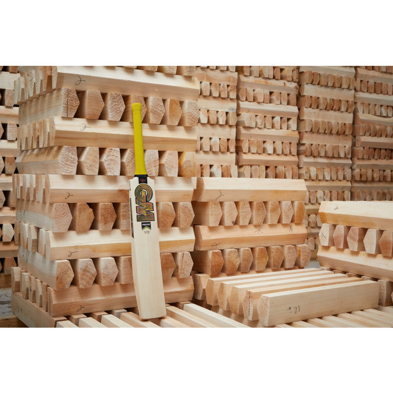 Gunn & Moore Ben Duckett Player's Edition Cricket Bat