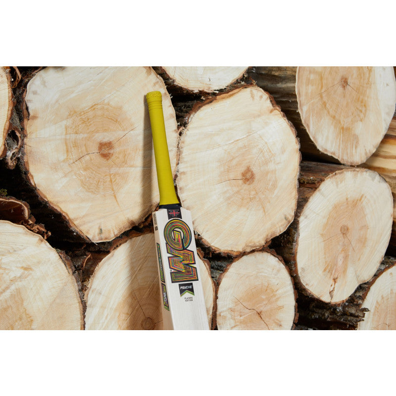 Gunn & Moore Psyche Cricket Bat 2026 - Junior Sizes