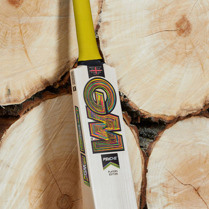 Gunn & Moore Psyche Cricket Bat 2026 - Junior Sizes