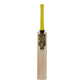 GM PSYCHE Cricket Bat
