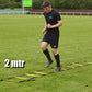 Precision 2 Metre Speed Ladder