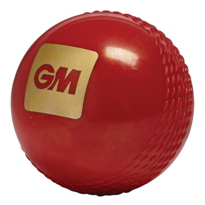 GM Trubounce Junior Ball